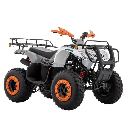 Motocicleta ATV190 Gris
