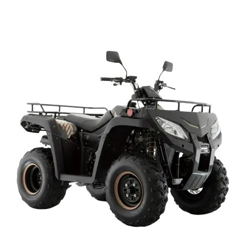 Motocicleta ATV250 Negro