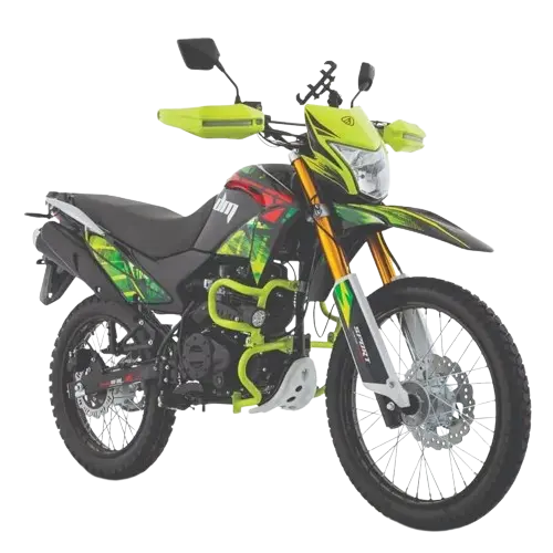 Motocicleta Dm 250 Negro con Verde