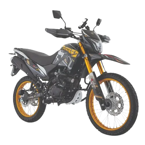 Motocicleta DM 300 Dorado