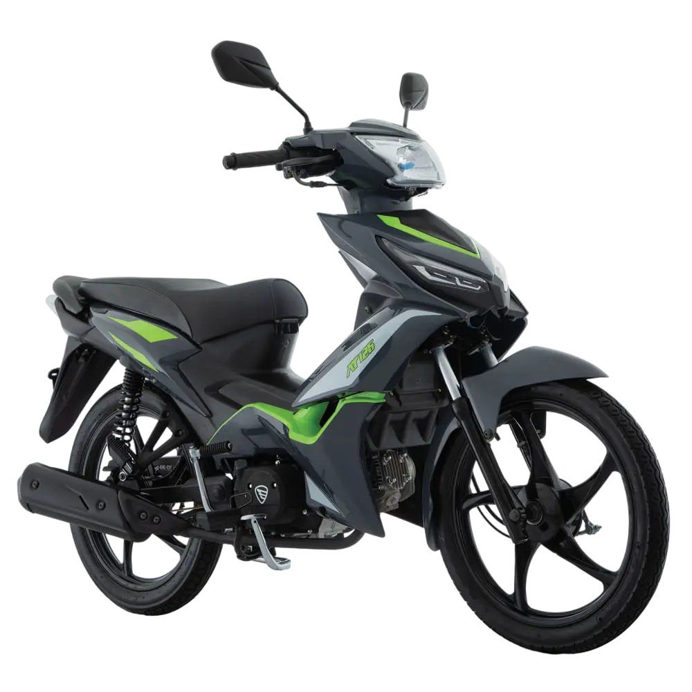 Motocicleta AT 125 Gris