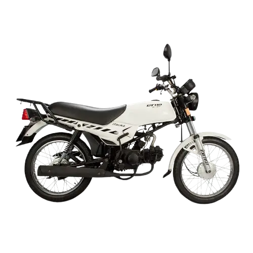 Motocicleta DT 110 Delivery