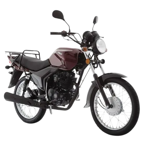Motocicleta FT150 G
