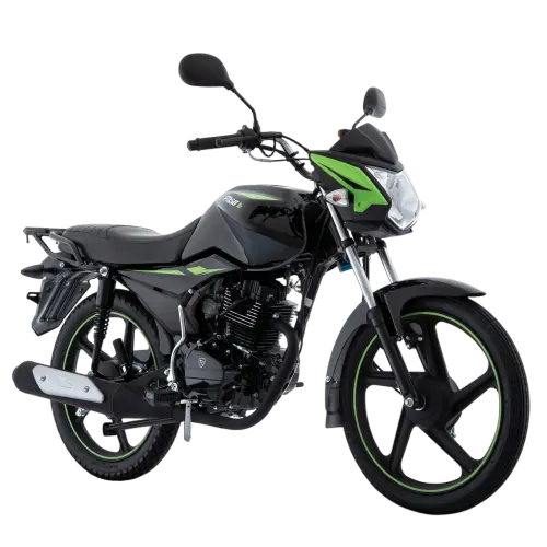 Motocicleta FT150 TS NEGRO VERDE