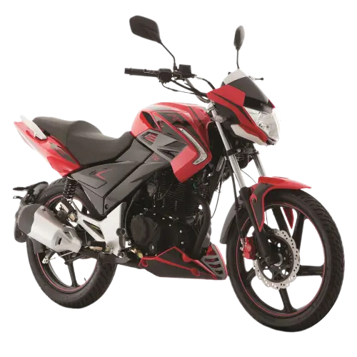 Motocicleta FT250 TS Rojo con Negro
