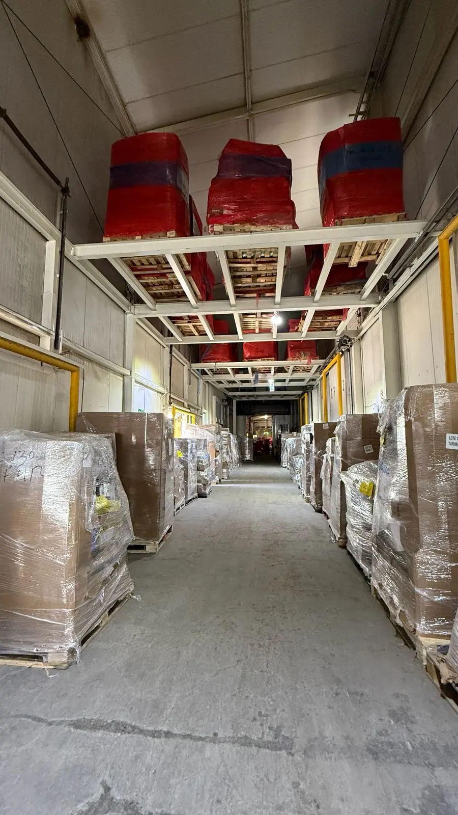 Imagen 3 de la Galeria