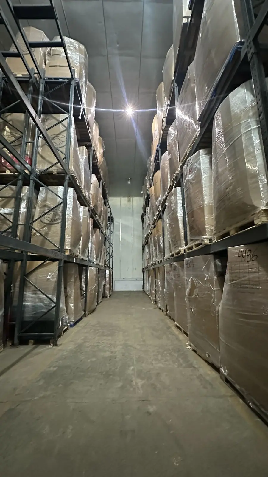 Imagen 12 de la Galeria