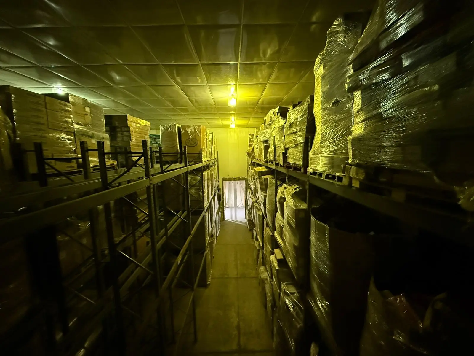 Imagen 23 de la Galeria