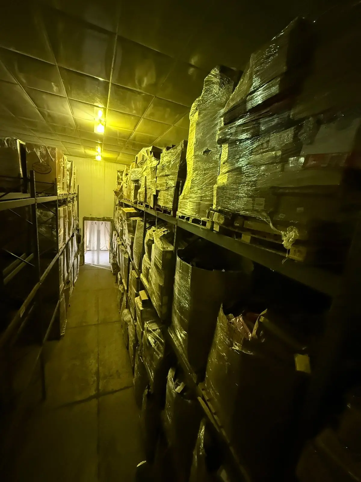 Imagen 25 de la Galeria