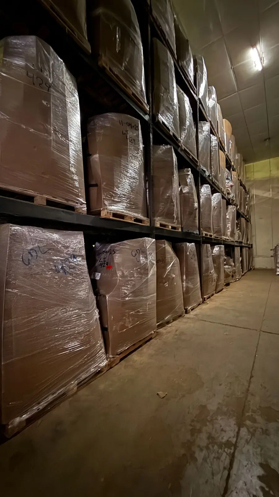 Imagen 8 de la Galeria