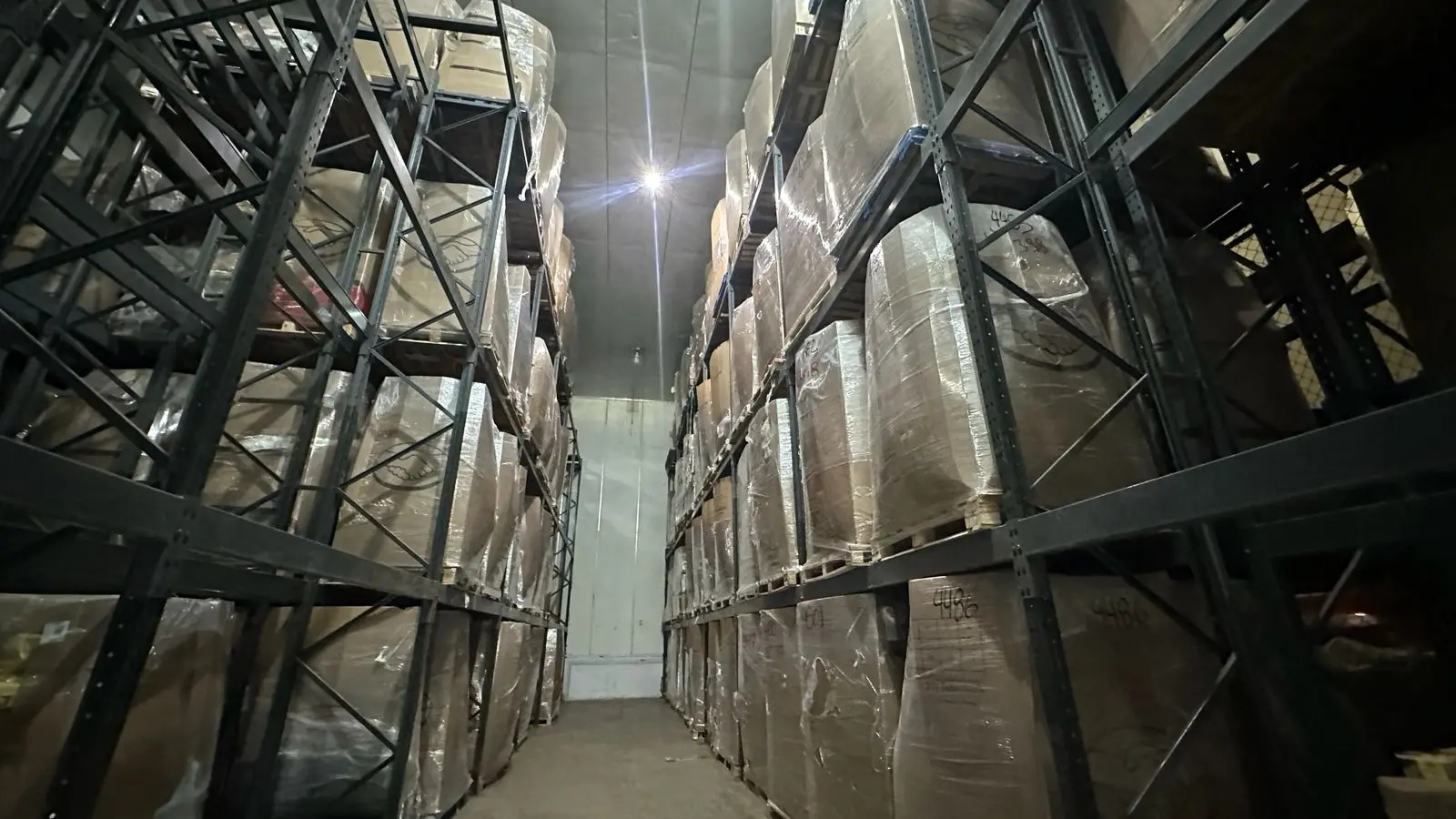 Imagen 11 de la Galeria